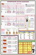 ПС16 Заземление и защитные меры электробезопасности (напряжение до 1000 в) (ламинированная бумага, a2, 4 листа) - Охрана труда на строительных площадках - Плакаты для строительства - Магазин охраны труда ИЗО Стиль